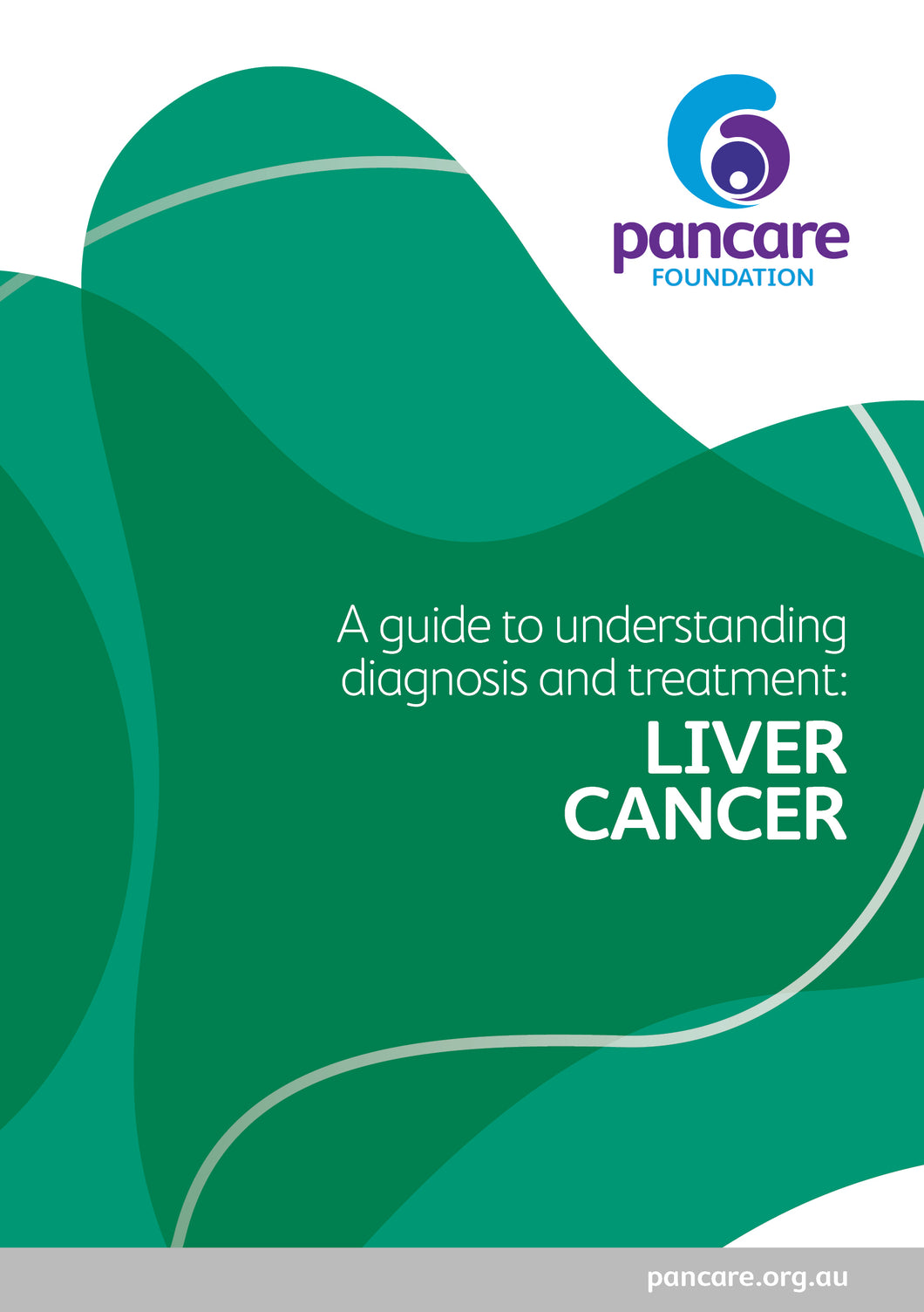 Handbook: A Guide to Understanding Diagnosis and Treatment for Liver Cancer