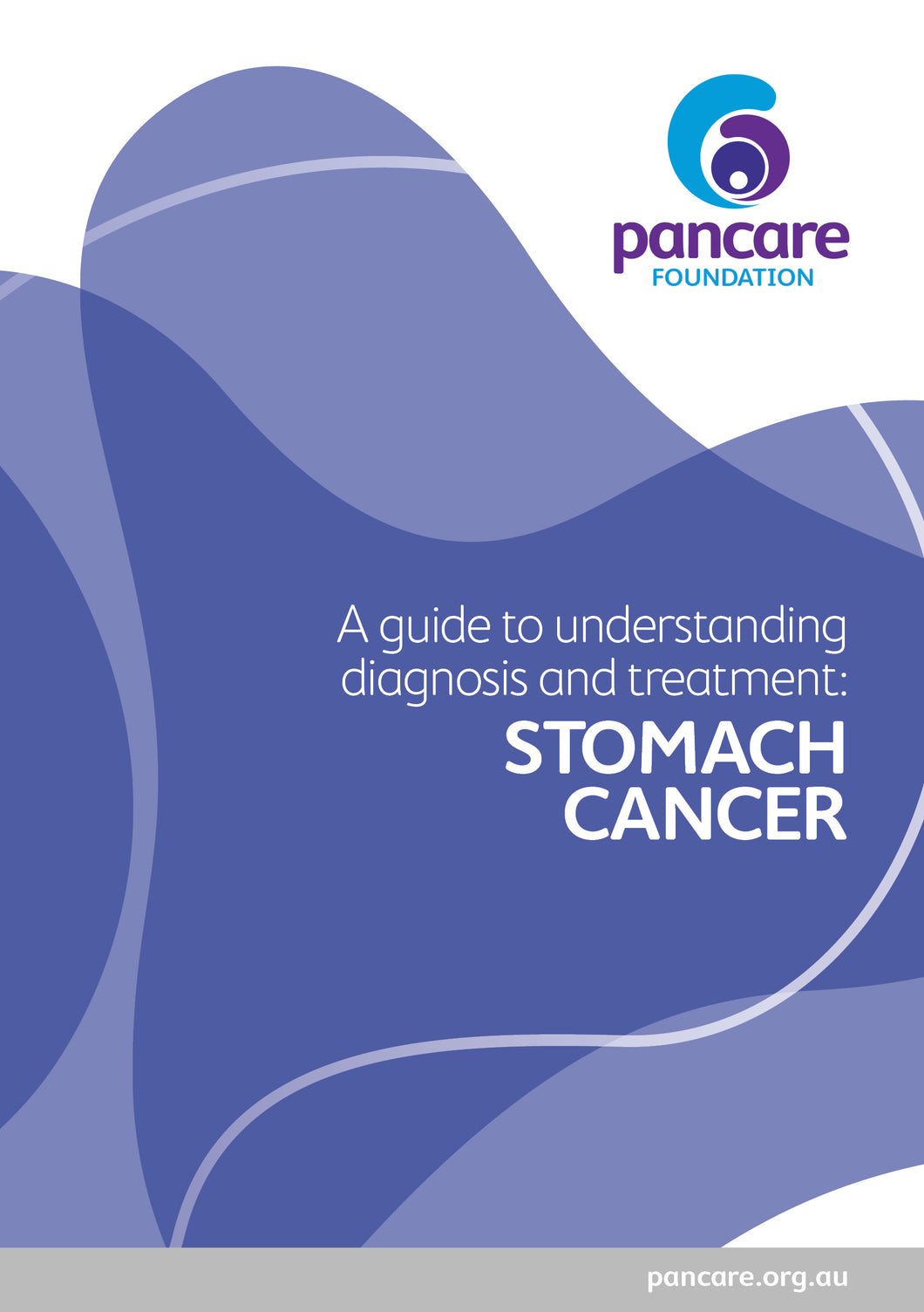Handbook: A Guide to Understanding Diagnosis and Treatment for Stomach Cancer.